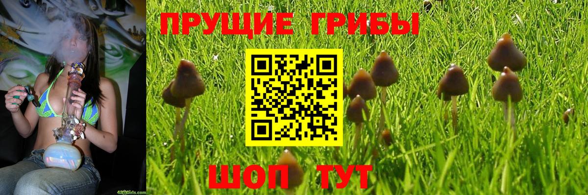 Псилоцибиновые грибы Magic Shrooms Урюпинск